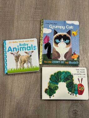 Lot of 3 children's books